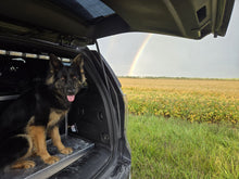 Load image into Gallery viewer, The 2025 Thin Blue Line Canada Fundraising Calendar (Wall Size and Desk Size) To benefit Canine Therapy for First  Responders (CTFFR Atlantic)