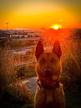 Load image into Gallery viewer, The 2025 Thin Blue Line Canada Fundraising Calendar (Wall Size and Desk Size) To benefit Canine Therapy for First  Responders (CTFFR Atlantic)
