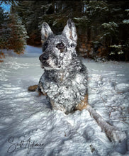 Load image into Gallery viewer, The 2025 Thin Blue Line Canada Fundraising Calendar (Wall Size and Desk Size) To benefit Canine Therapy for First  Responders (CTFFR Atlantic)
