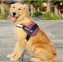 Load image into Gallery viewer, The Complete Thin Blue Line Canada K9 Kit (Free Shipping)