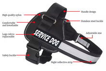 Load image into Gallery viewer, The Complete Thin Blue Line Canada K9 Kit (Free Shipping)