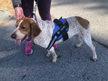 Load image into Gallery viewer, The Complete Thin Blue Line Canada K9 Kit (Free Shipping)