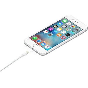 Apple MD818AM/A Lightning Cable to USB Cable (1 m)